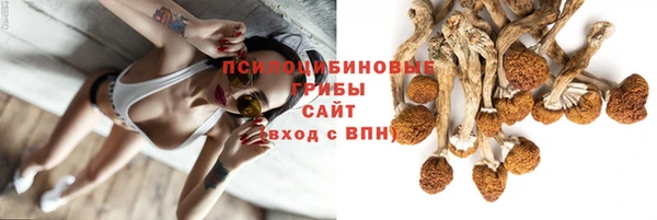 стафф Богородск