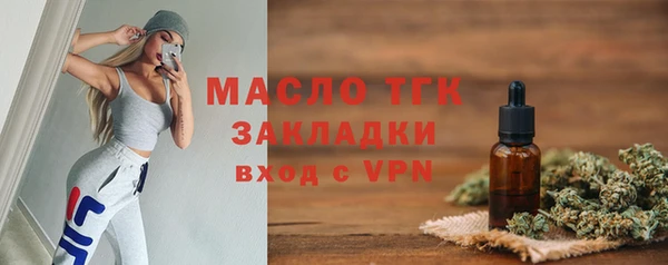 mix Богородицк