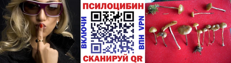 Псилоцибиновые грибы MAGIC MUSHROOMS  hydra ссылка  это официальный сайт  Гудермес 
